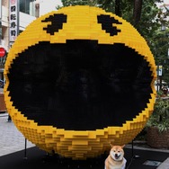新宿に出現した3mのパックマンと「宣伝ワン」に就任した“まる”