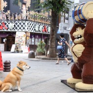 そしてドンキーコングにご挨拶