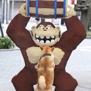 ・・・と思いきやじゃれる！