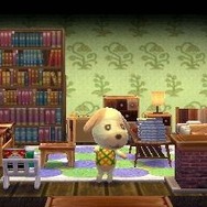 本に囲まれたシックなお部屋