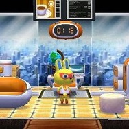 さまざまなどうぶつたちの家を・・・