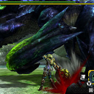 『モンハン クロス』で「森丘」復活！新モンスター「ライゼクス」や、ジャストガードが使える「ブシドースタイル」も公開