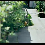 【レポート】岩田聡と共に追いかけた『ポケモンGO』への想いを石原恒和や宮本茂が語る