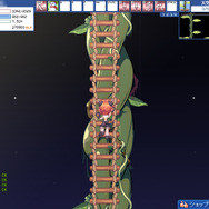 (c)2006 Actoz Soft., All rights reserved. (c)2006 Gamepot Inc., All rights reserved.