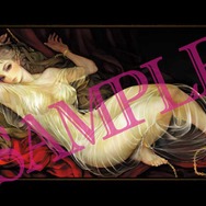 『ドラゴンズクラウン』画集サンプルをお届け…背景画やキャライラストなど