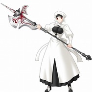 Fate/unlimited codes