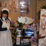秋葉原キュアメイドカフェにて「フェイトカフェ＠キュアメイドカフェ」が開催！