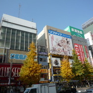 秋葉原キュアメイドカフェにて「フェイトカフェ＠キュアメイドカフェ」が開催！