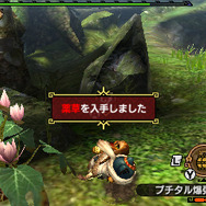 『モンハン クロス』オトモアイルーやニャンターの詳細公開 ─ 可愛いNPC“ネコ嬢”もお披露目