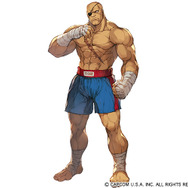 『グランブルーファンタジー』と『ウルトラストリートファイターIV』がコラボ!リュウや春麗たちがファータ・グランデ空域で激突