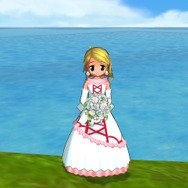 (C) 2007 BROCCOLI/GungHo Online Entertainment,Inc./HEADLOCK Inc.