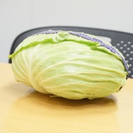 【特集】AC『チュウニズム』はコアユーザー向けだが優しい音ゲー?ディレクターとmaimaiちゃんにその魅力を訊いた