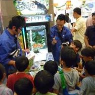 AC『新甲虫王者ムシキング 2016 1st』稼働開始！30種類以上の新カードや地と風の「Vガジェ」が登場