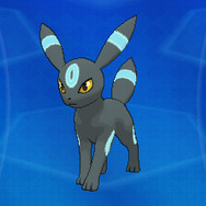 隠れ特性の「色違いイーブイ」や「サンダー」などが貰える「ポケモンスクラップ2016」対象商品が2月1日より販売