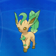 隠れ特性の「色違いイーブイ」や「サンダー」などが貰える「ポケモンスクラップ2016」対象商品が2月1日より販売