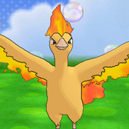 隠れ特性の「色違いイーブイ」や「サンダー」などが貰える「ポケモンスクラップ2016」対象商品が2月1日より販売