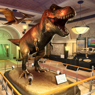 ふしぎ発見！博物館編