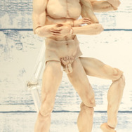 【WF2016冬】美術品が“超絶可動“を得て何かから解放される…figma「ウィトルウィウス的人体図」誕生