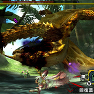 『モンハン クロス』獰猛化「レイア希少種」「ショウグン」イベントクエスト配信開始