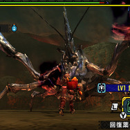 『モンハン クロス』獰猛化「レイア希少種」「ショウグン」イベントクエスト配信開始