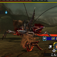 『モンハン クロス』獰猛化「レイア希少種」「ショウグン」イベントクエスト配信開始