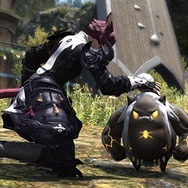 これはスクショが捗る！『FFXIV: 蒼天のイシュガルド』パッチ3.2で「注視対象の変更」「構図の調整」「視線送りのON/OFF」などが可能に