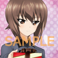 Blu-ray/DVD「ガルパン 劇場版」5月27日発売、特典盛りだくさんの特装限定版も