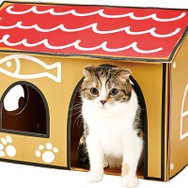 『ねこあつめ』の猫用おもちゃが商品化！「けりぐるみ」や「ハウスデラックス」など