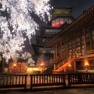 『DEAD OR ALIVE 5 LR/UA』に参戦する『戦国無双』井伊直虎の詳細公開！ マリー・ローズのガラシャ衣装なども