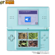 『クイズ&タッチけんさく虫図鑑DS』の体験版公開！