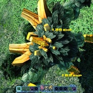 【レポート】PS4版『PSO2』の触り心地はいかに!デビューを考える人に贈るCBTレポ