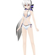 弱音ハク スイムウェア