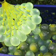 約60秒で100個の水風船を作る玩具「バンチオバルーン」3月31日発売