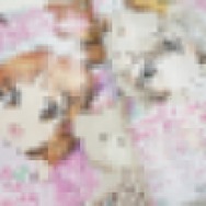 モザイクは編集部によるもの