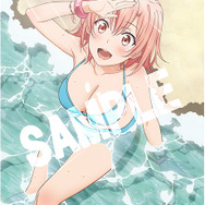 PS Vita『やはりゲームでも俺の青春ラブコメはまちがっている。続』発売日決定…水着姿が眩しい特典用イラストも公開