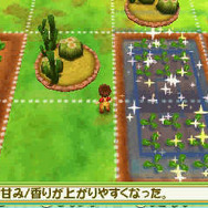 『牧場物語 3つの里の大切な友だち』に「マリオ」コラボ衣装が登場！「茶屋で働く看板娘」など新たな結婚候補も