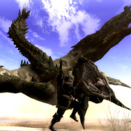 モンスターハンター3(トライ)
