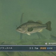 フィッシュアイズWii