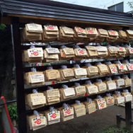 【特集】パワースポットでガチャを引くとレアが出るのか…複数の場所で検証してみた