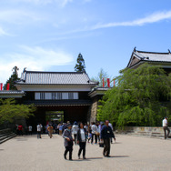 【特集】パワースポットでガチャを引くとレアが出るのか…複数の場所で検証してみた