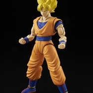 (C)バードスタジオ/集英社・東映アニメーション