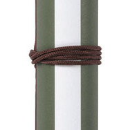 『逆転裁判6』鉄道会社や『パズドラ』とコラボ決定！パセラや「TSUTAYAでDS」コラボも