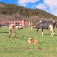 『牧場物語 3つの里の大切な友だち』に「ハム太郎」が登場！新たな結婚候補「イナリちゃま」も