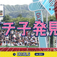 JRAが「コップのフチ子」とコラボ！自分だけの“お馬のフチ子”でレースゲームが楽しめる