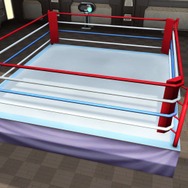 『PSO2』本日のアプデ詳細到着！ヒツギのサブイベント、カエルハット、カメラヘッドなどを実装