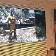 『エルダー・スクロールズ・オンライン』メディア体験会レポー全てが日本語になったタムリエルの世界