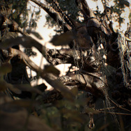 『バイオハザード7』発表!国内発売日は2017年1月26日でPSVR完全対応【訂正】