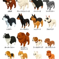 『牧場物語 3つの里の大切な友だち』季節のお祭りを盛り上げてくれる新キャラや、ペットとの暮らしガイドが公開