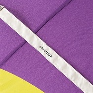 (C)空知英秋／集英社・テレビ東京・電通・BNP・アニプレックス