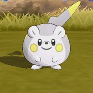 『ポケモン サン・ムーン』新ポケモンを紹介する映像公開！カプ・コケコ、デンヂムシ、ジジーロンなど